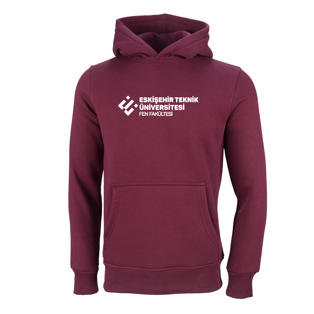 Eskişehir Teknik Üniversitesi Fen Fakültesi Model 1