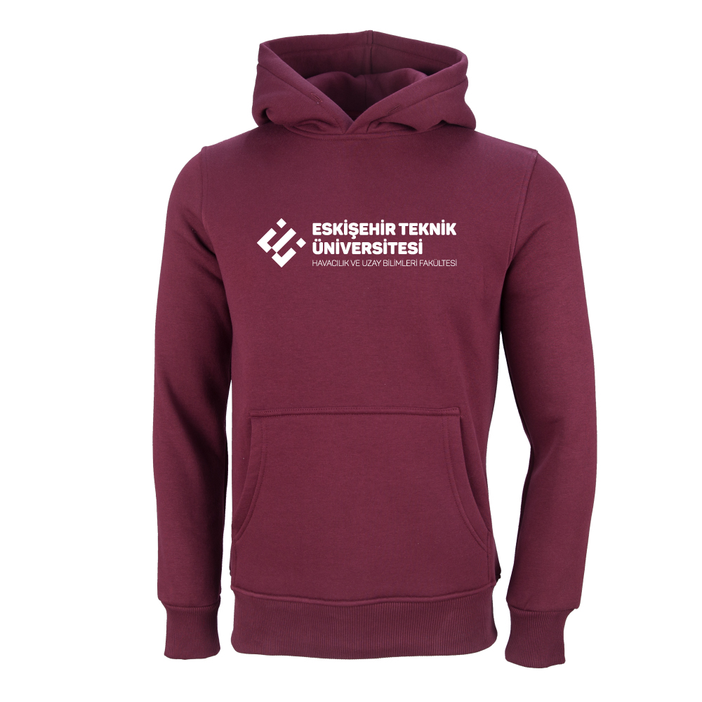 Eskişehir Teknik Üniversitesi Havacılık ve Uzay Bilimleri Fakültesi Model 1